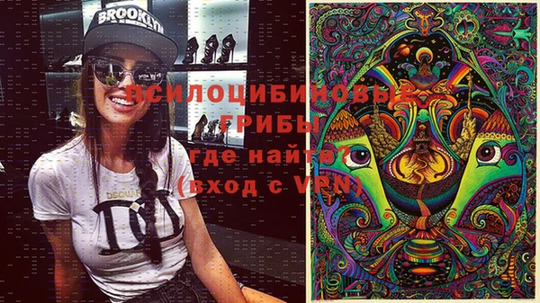 круглые Алзамай