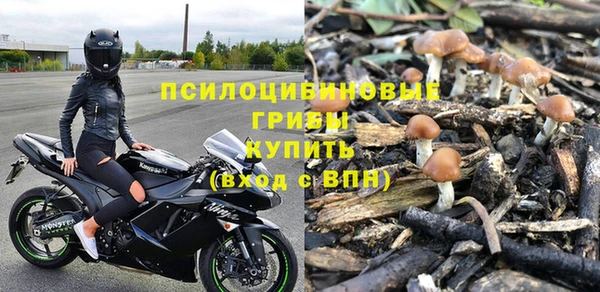 героин Алексин