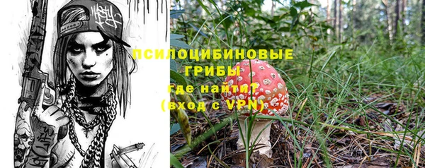 круглые Алзамай