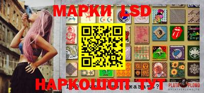 стафф Новокубанск