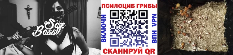 Галлюциногенные грибы мицелий  ОМГ ОМГ tor  Сухой Лог 