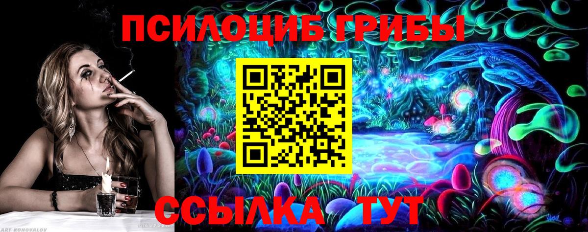 Псилоцибиновые грибы Psilocybine cubensis  Галлюциногенные грибы Psilocybe  Вход с VPN  Сухой Лог 